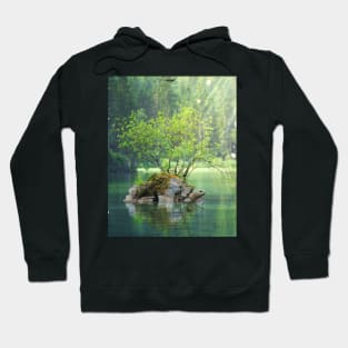 Lake turtle Hoodie